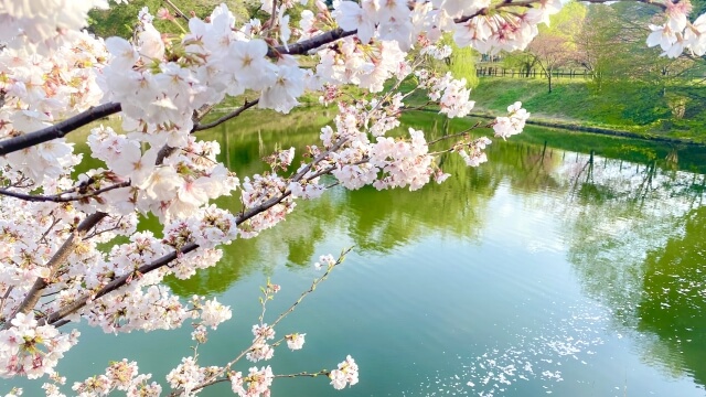 写真AC
