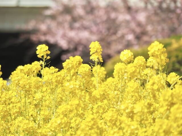 写真AC